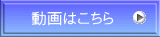 動画はこちら